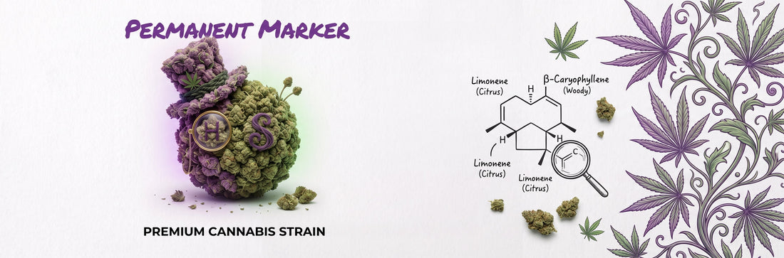 Permanent Marker: The Complete Home Grower’s Guide