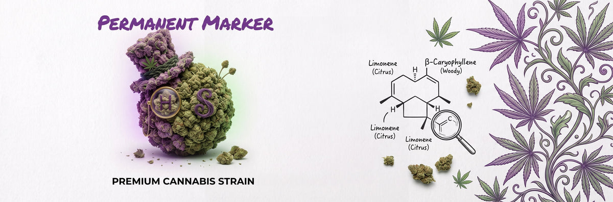 Permanent Marker: The Complete Home Grower’s Guide
