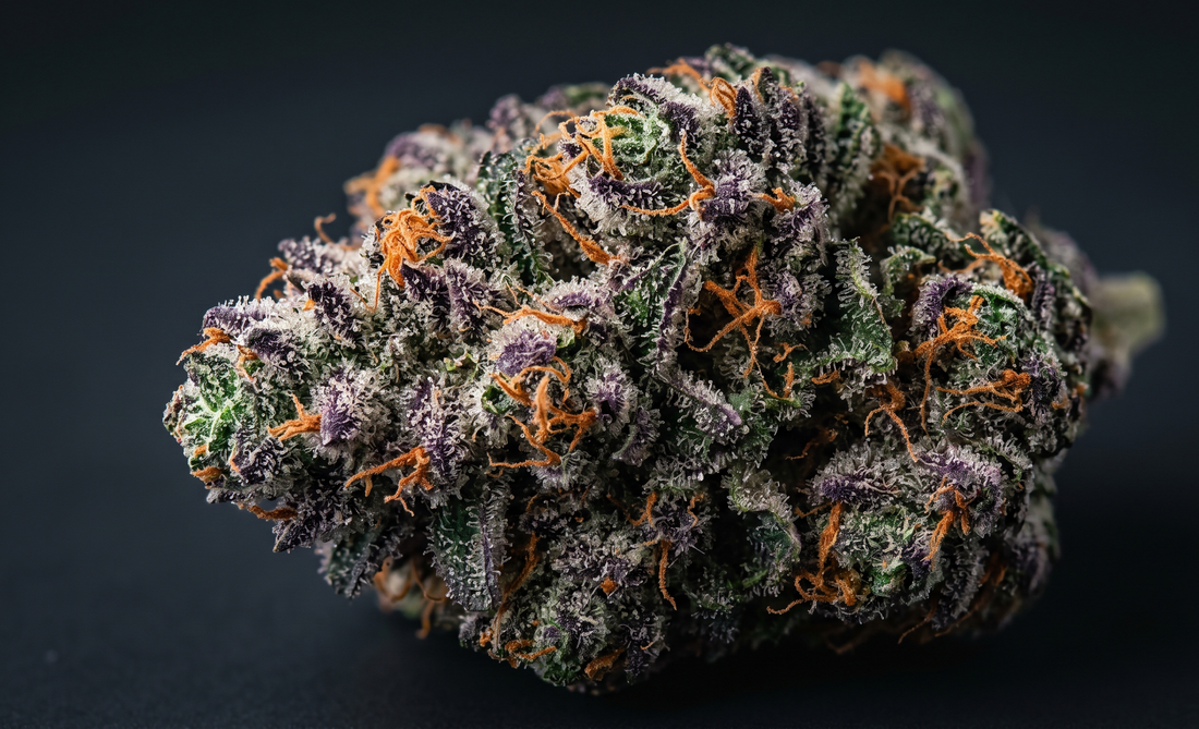 Girl Scout Cookies