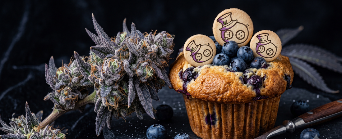 Blueberry Muffin: The Complete Home Grower’s Guide