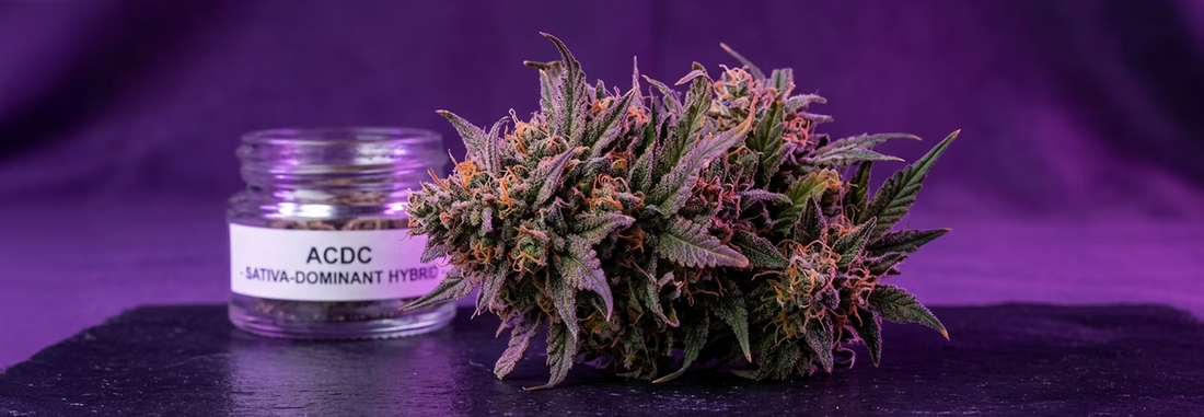 ACDC or Sativa-dominant Hybrid