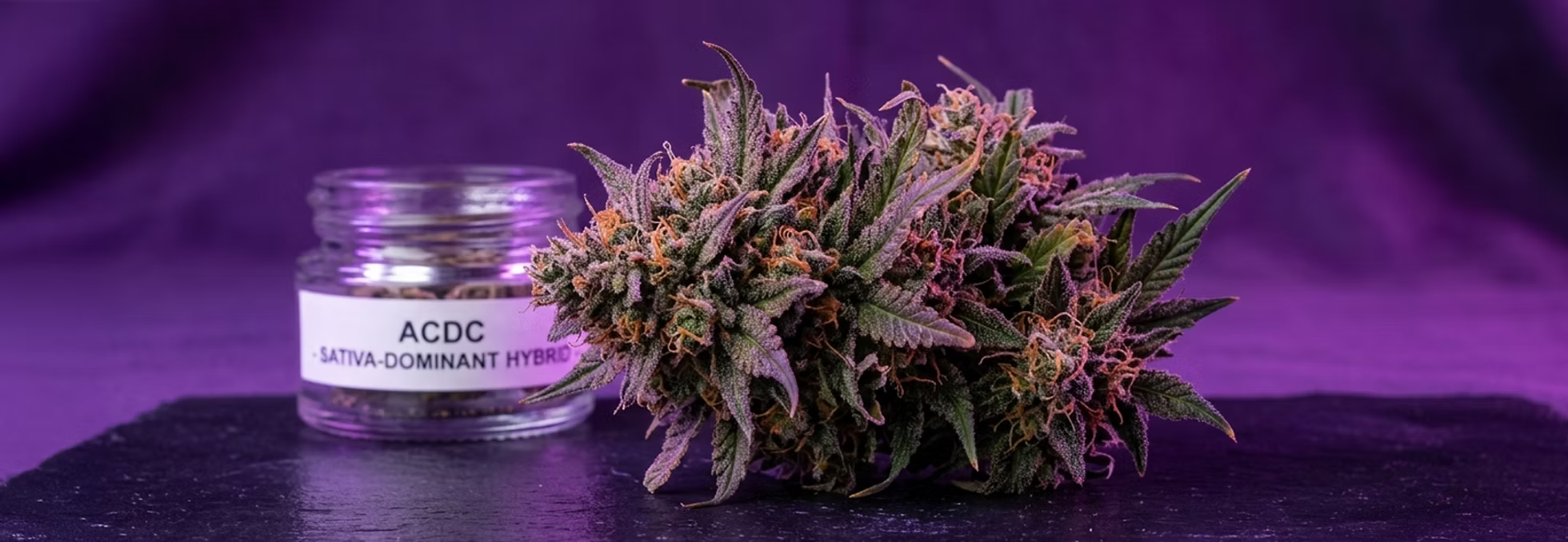 ACDC or Sativa-dominant Hybrid